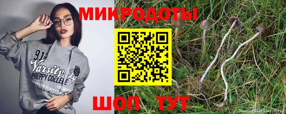 Псилоцибиновые грибы GOLDEN TEACHER Алапаевск