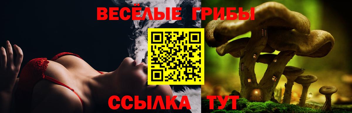 Галлюциногенные грибы Cubensis  Вход с VPN  Псилоцибиновые грибы Psilocybine cubensis  Алапаевск 